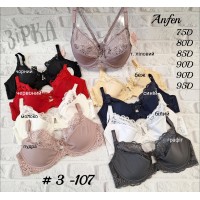 3-107 D Anfen 