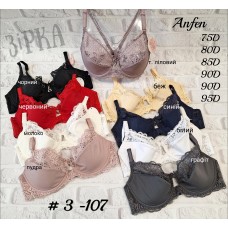 3-107 D Anfen 